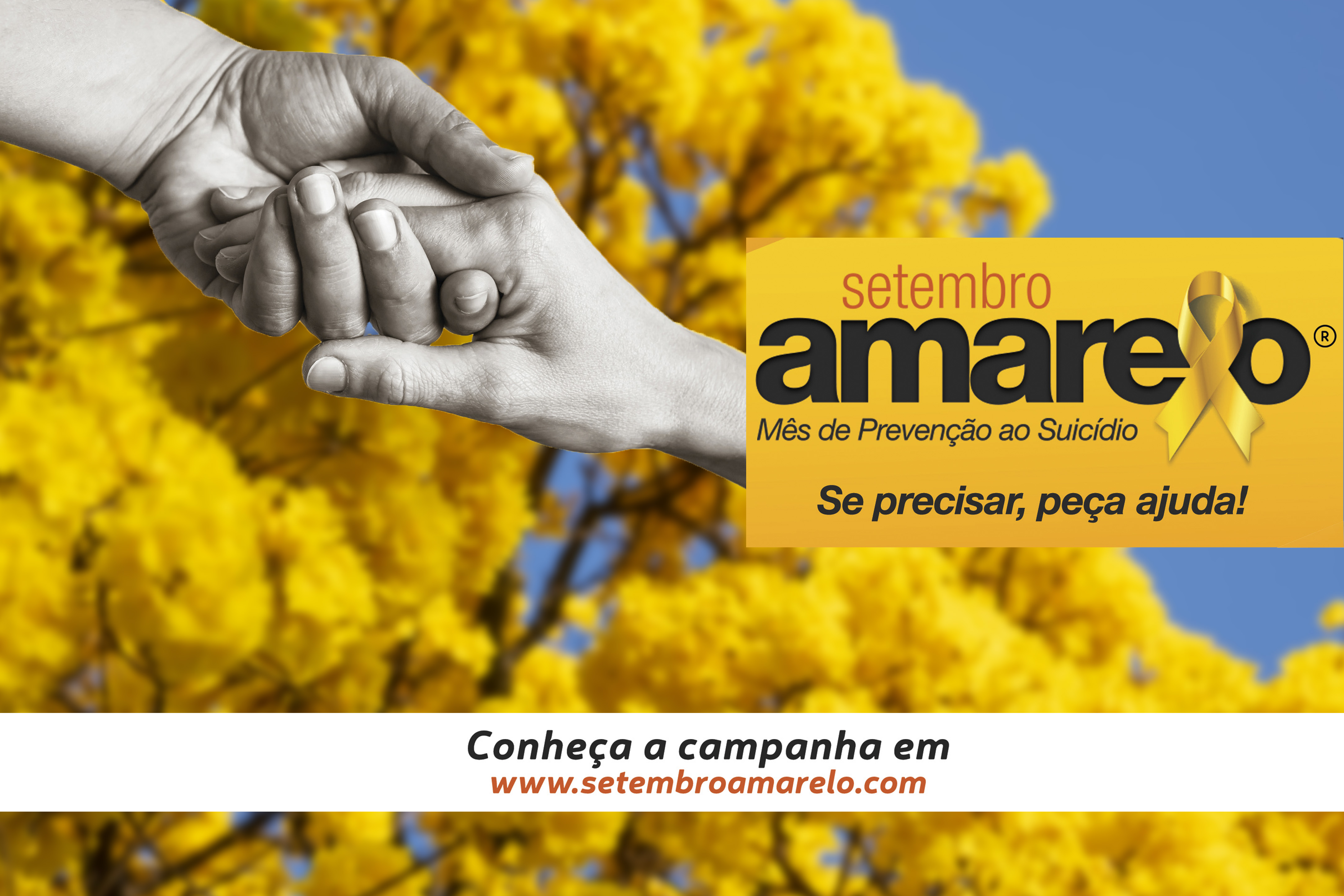 tembro Amarelo Ipes site